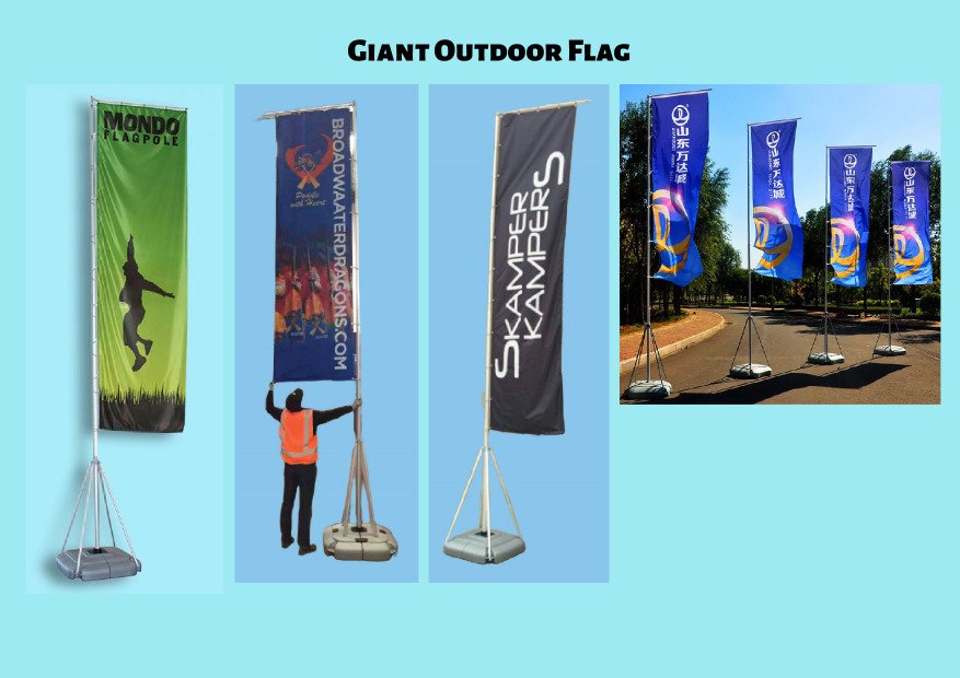 Giant 877x620